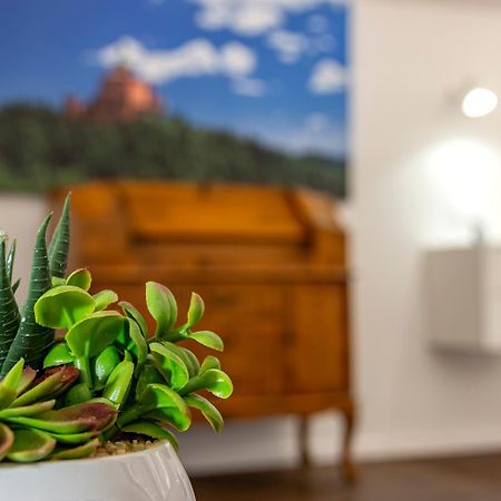 Righi Suite Apartment Μπολόνια Εξωτερικό φωτογραφία