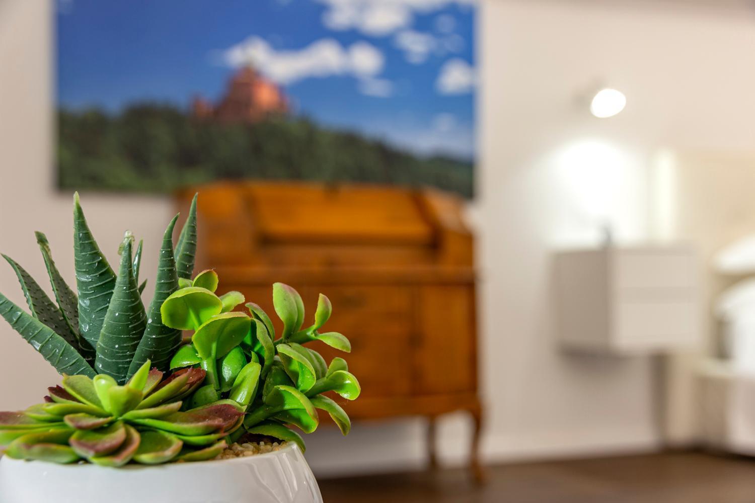 Righi Suite Apartment Μπολόνια Εξωτερικό φωτογραφία